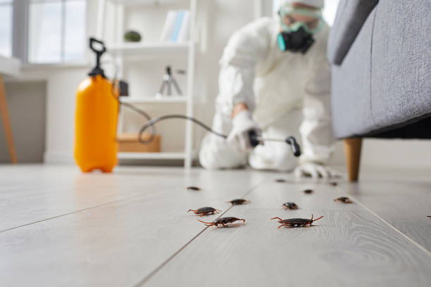 Commercial Kitchen Cockroach Control in Lynn Haven
